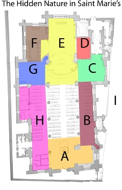 Map of the Cathedral Church of St Marie